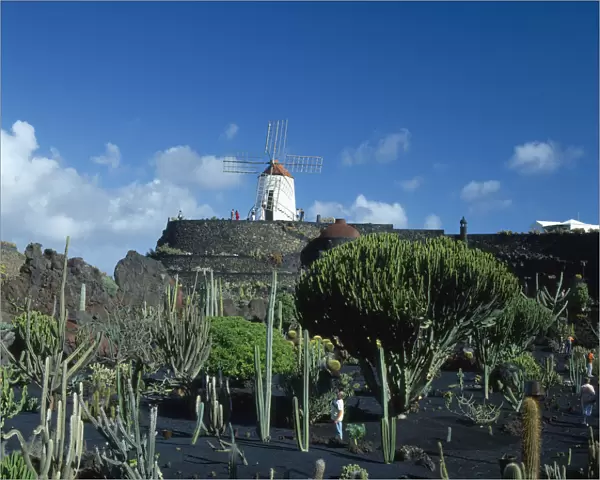 20064149. SPAIN Canary Islands Lanzarote Guatiza