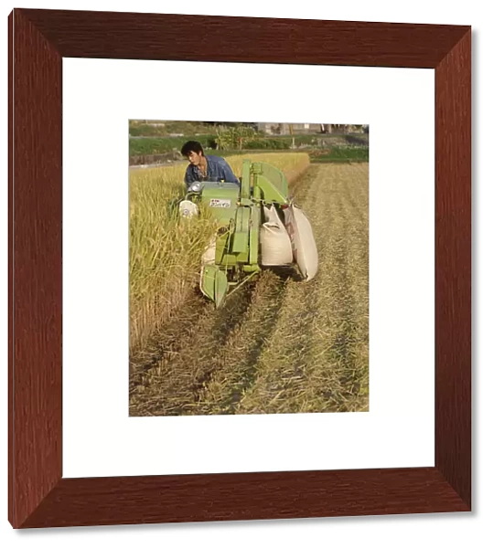 10043431. JAPAN Honshu Kyoto Man harvesting rice by machine