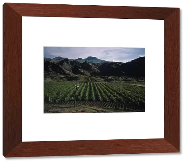 ARMENIA, Vaik Region, Agriculture Landscape with vineyards
