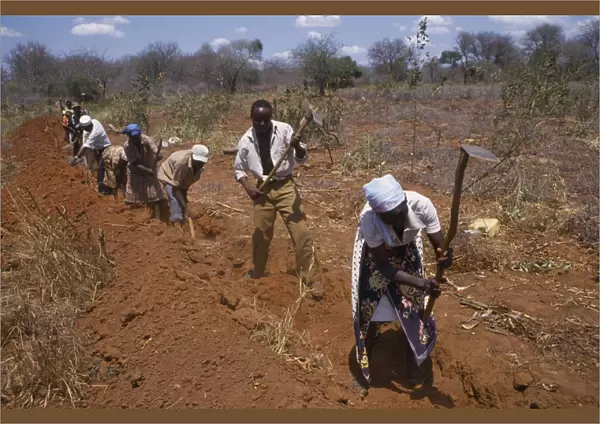 20074618. KENYA Agriculture Line of men and women digging irrigation channel