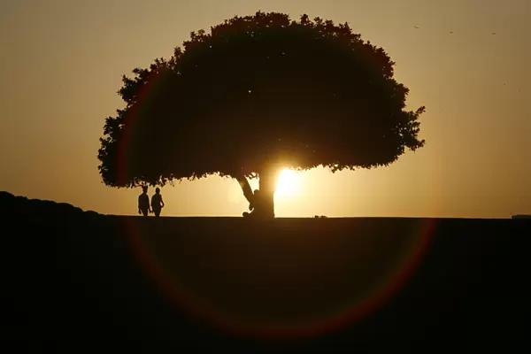 People are silhouetted against the setting sun at a park in New Delhi