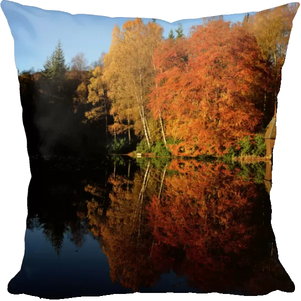 Autumnal leaves are reflected in Loch Dunmore, near Pitlochry, Scotland