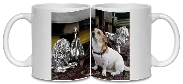 A dog sits next to decorative silver animals at Silber Sturm