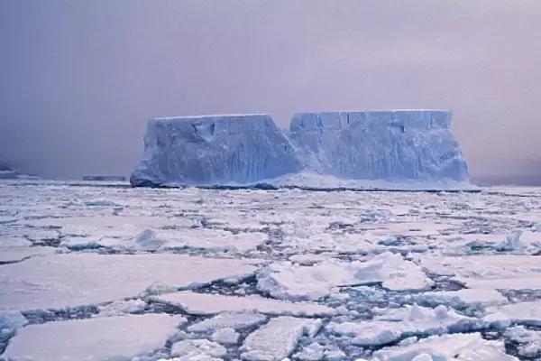 Icebergs and pack ice in the Weddell Sea, Antarctica