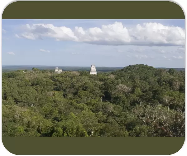 Temples rising above the rainforest at Tikal viewed from Temple 1V Guatemala