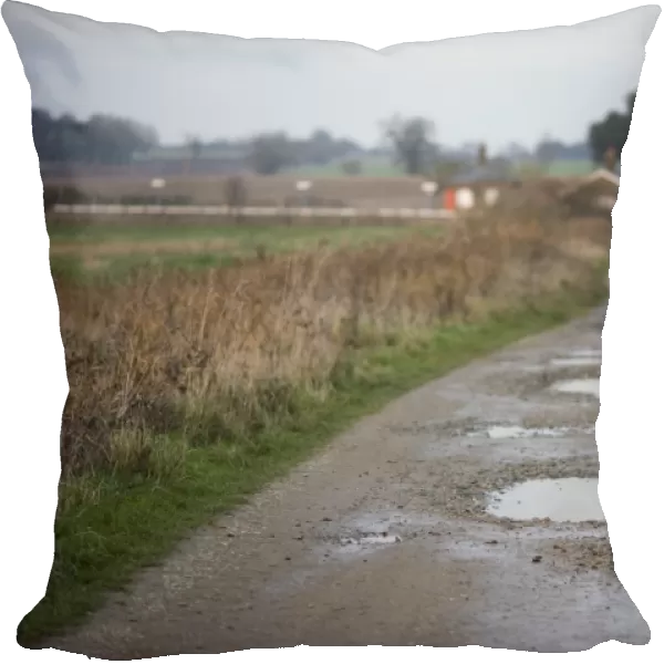 Track at Buckenham Marshes RSPB Reserve in the Yare Valley Norfolk winter