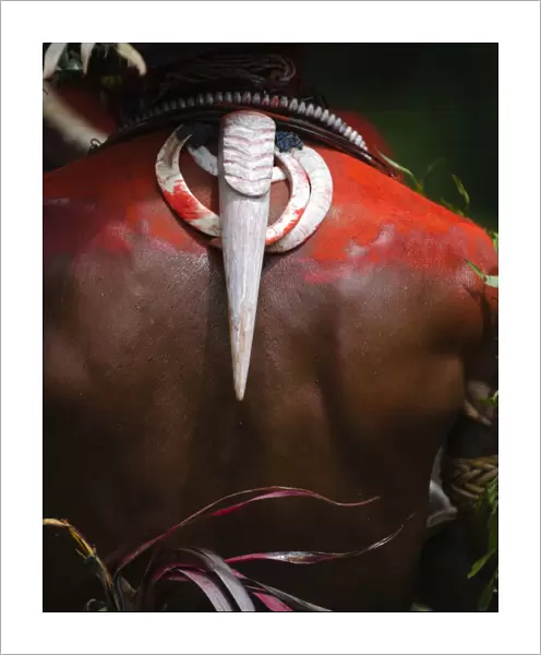 Huli Wigmen from the Tari Valley in Southern Highlands of Papua New Guinea wearing