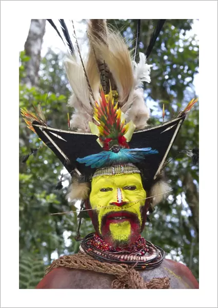 Timan Thumbu a Huli Wigman from Tari Southern Highlands Papua New Guinea. Head dress
