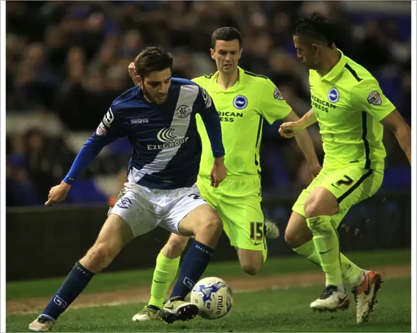 Birmingham City vs Brighton and Hove Albion: Intense Battle Between Jamie Murphy and Jon Toral in Sky Bet Championship Match