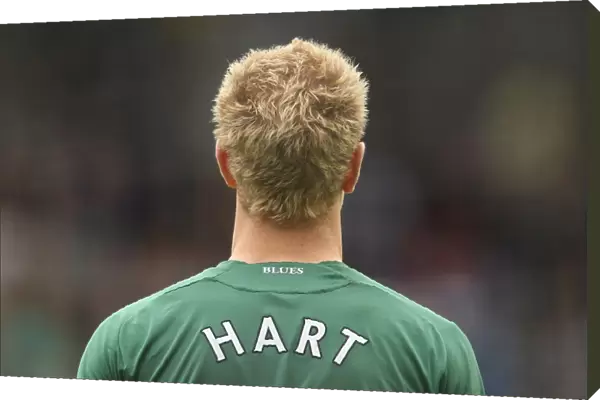 Joe Hart in Action: Birmingham City vs Burnley, Premier League (01-05-2010)
