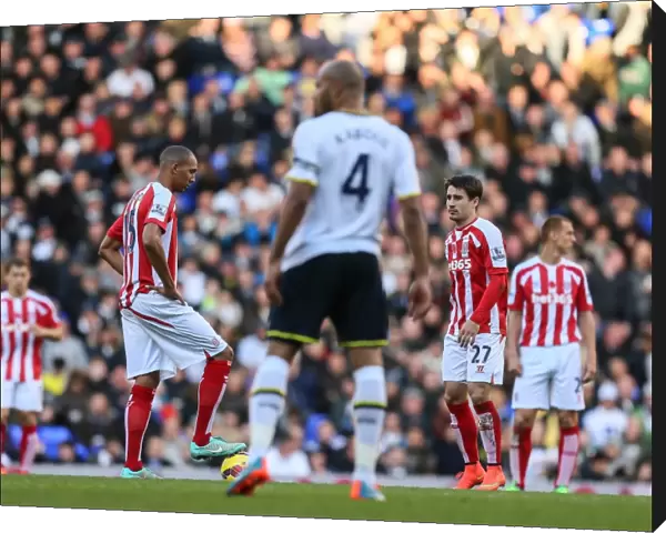 Clash of the Titans: Premier League Battle - Tottenham Hotspur vs Stoke City (November 9, 2014)