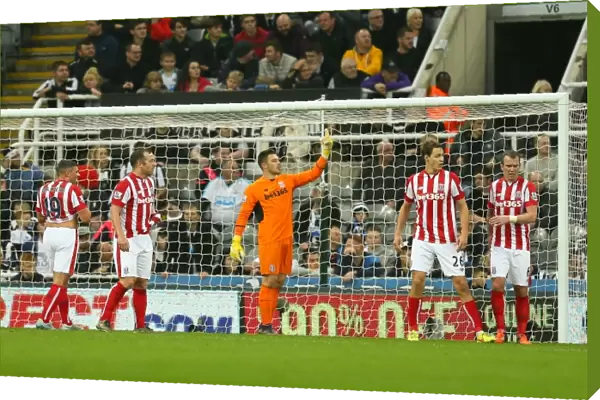 Clash of the Magpies and Potters: Newcastle United vs Stoke City (31st October 2015)