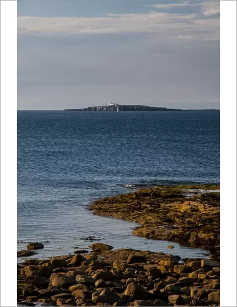 View of coastline from mainland, looking towards island of Inner Farne, Farne Islands, in distance, Bamburgh