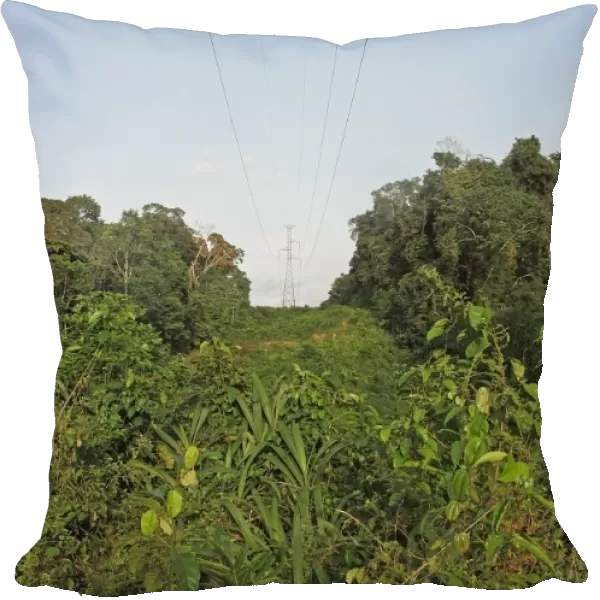 Electricity transmission pylons crossing clearing in tropical rainforest, Ankasa Reserve, Ghana, February