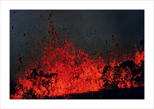Volcanic eruption, tree silhouetted by molten lava erupting, Mauna Ulu, Big Island, Hawaii (1969 - 1974)