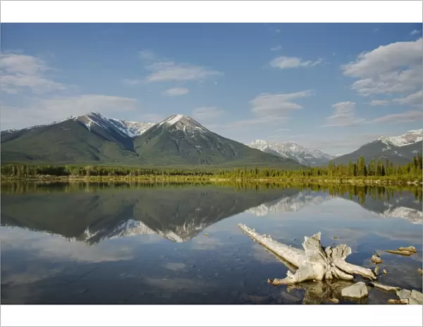 View of mountains reflected in lake, Vermillion Lakes, Banff N. P. Rocky Mountains, Alberta, Canada, june