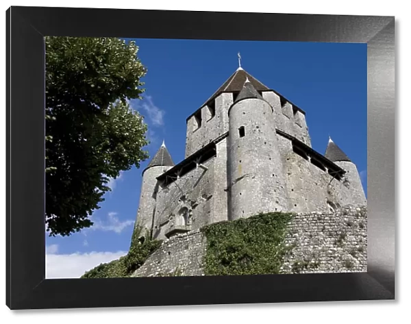 View of Medieval castle, unesco world heritage site, Tour Cesar (Caesar Tower), Provins, Seine-et-Marne, France