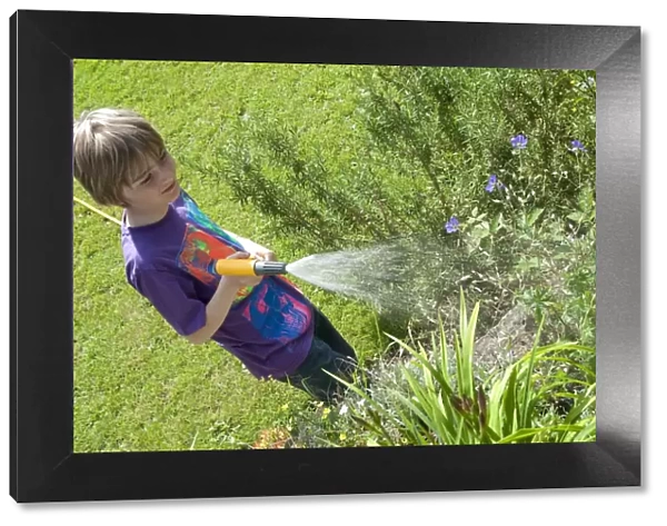 Boy watering plants in garden with hose, Norfolk, England, july
