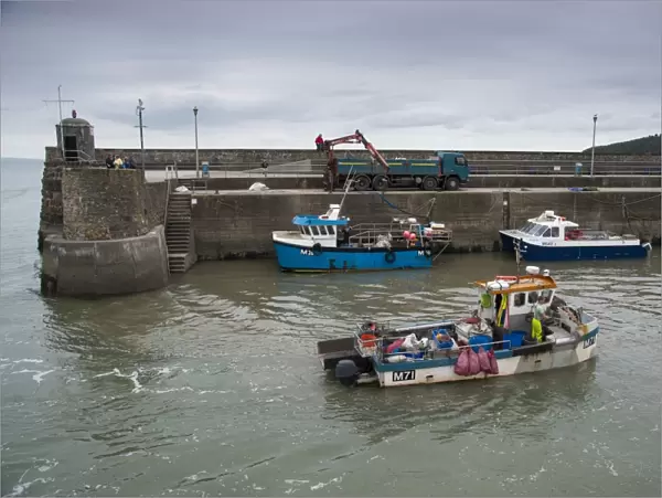 Fishing boat entering harbour, with whelks unloaded from fishing boat onto lorry, Saundersfoot, Pembrokeshire, Wales