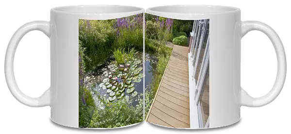 Wildlife garden pond with boardwalk and conservatory, Norfolk, England, August