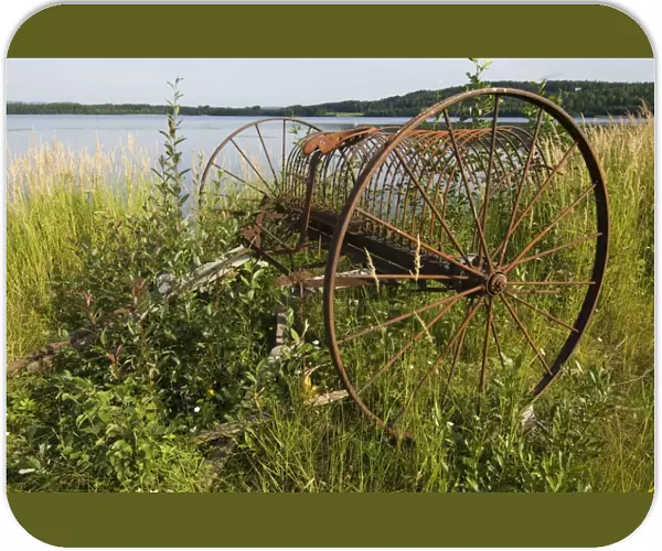 Rusty old-fashioned horse-drawn hay rake, at edge of water, Sweden