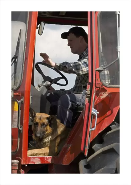 Farmer with German Shepherd Dog, sitting in tractor cab, Sweden