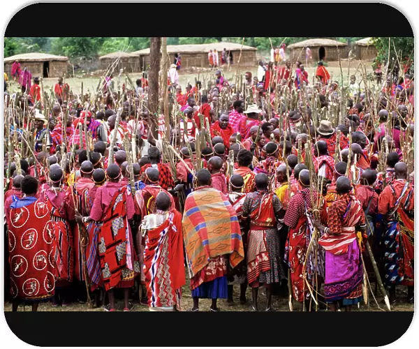 Lolgorian, Kenya. Siria Msai Manyatta; mass of women with sticks prepared ready