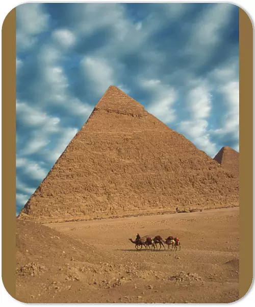 Africa, Egypt, Cairo. Great Pyramids. Man and camels walk past Great Pyramids. Credit as