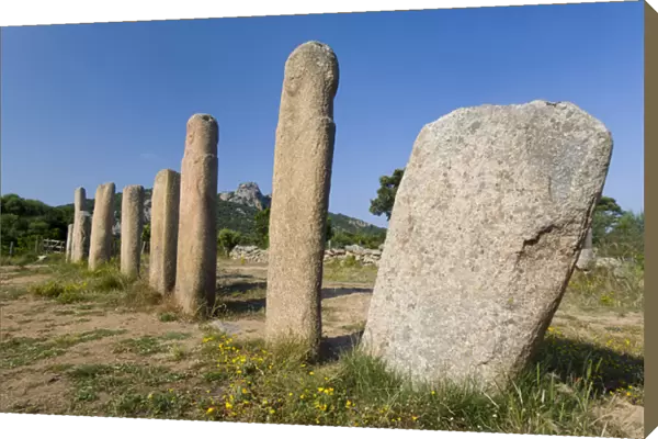 Corsica. France. Europe. Stone alignment of I Stantari (Alignement d l Stantari)
