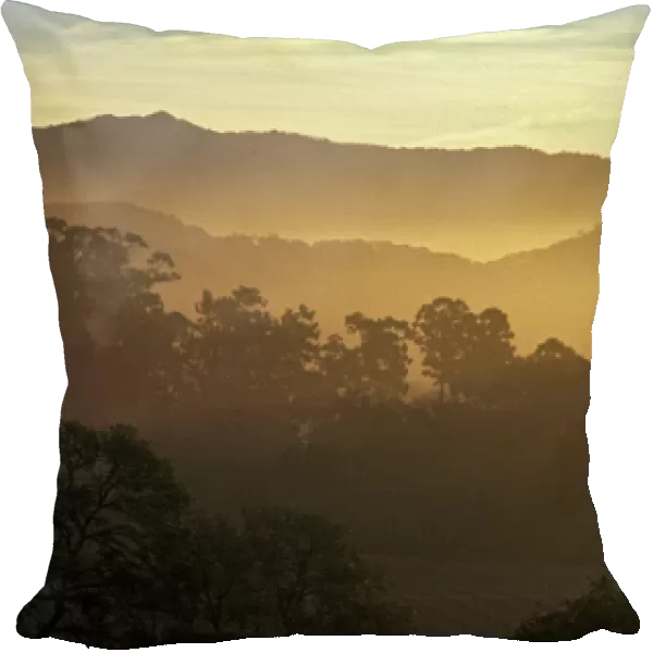Sunrise over the hills above Napa Valley near Rutherford, Napa County, California, U. S. A