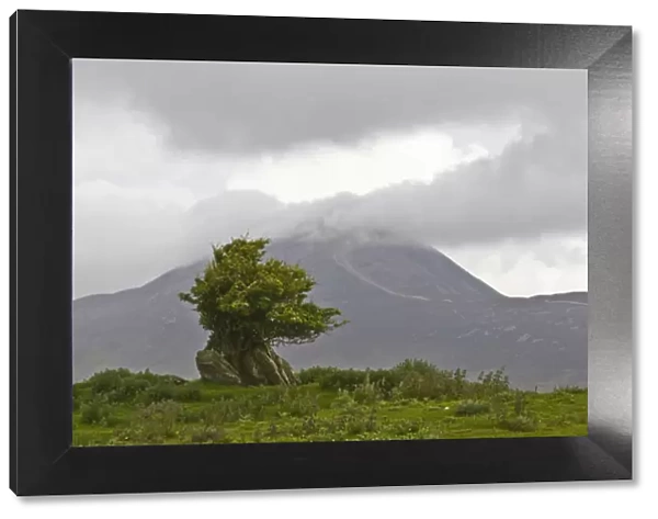 Ireland, County Mayo. Landscape with Croagh Patrick in background