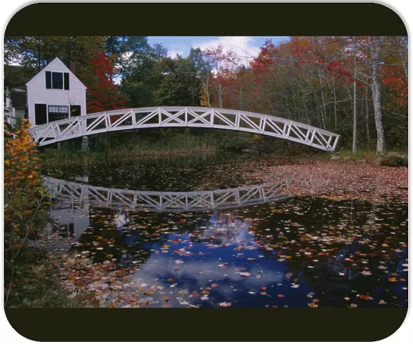07. North America, U.S.A. Maine, Somesville, nr. Acadia N.P. Footbridge over a pond