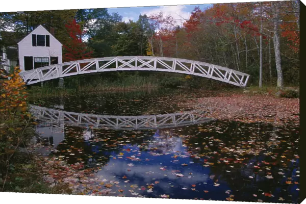 07. North America, U.S.A. Maine, Somesville, nr. Acadia N.P. Footbridge over a pond