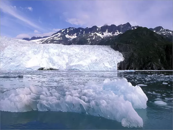 U. S. A. Alaska, Kenai Fjords National Park Icebergs float past glacier