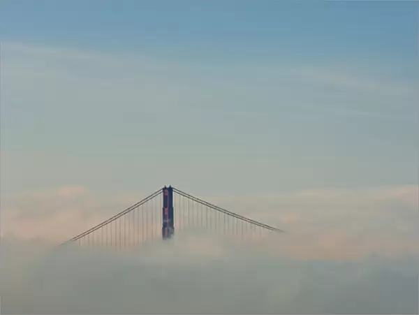 San Francisco, California. Golden Gate Bridge above fog bank