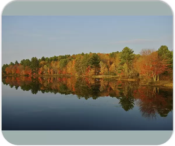 North America, USA, New Hampshire, Marlow. Autumn scenery reflected in a pond