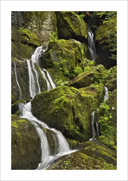 Seasonal cascade, Place of a Thousand Drips, Great Smoky Mountains National Park
