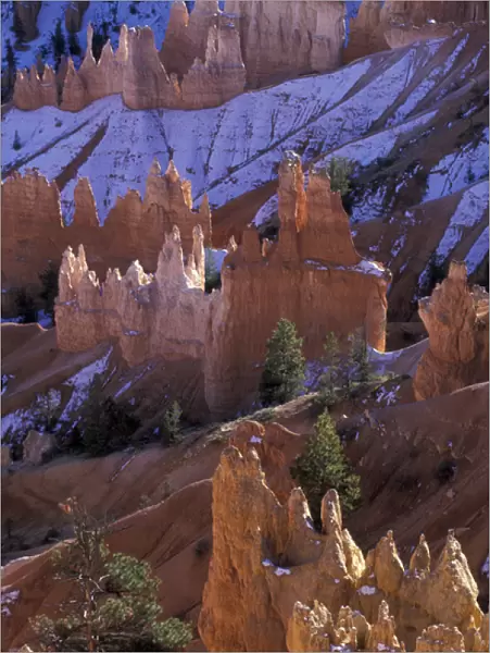 North America, USA, UT, Bryce Canyon NP Bryce Ampitheater, Hoodoos and Fins