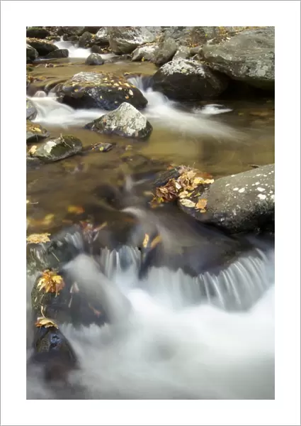Cascading autumn stream, Hazel River, Sams Ridge Trail, Shenandoah NP, Virginia