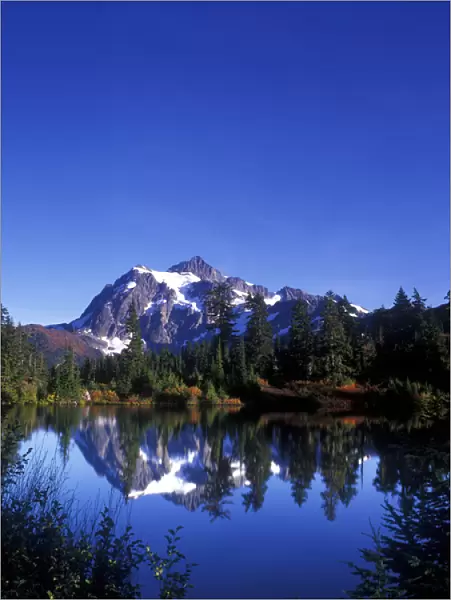 USA, Washington, Mt. Baker & Snoqualmie NF, Mt. Shuksan Reflected in Picture Lake