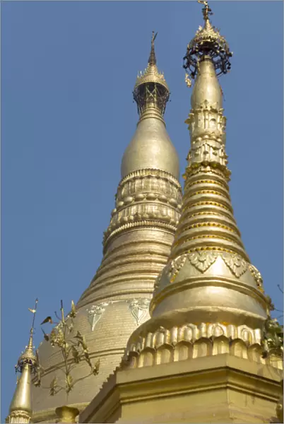 Myanmar (Burma), Yangon (Rangoon). Shwedagon Pagoda, the holiest Buddhist shrine in Myanmar