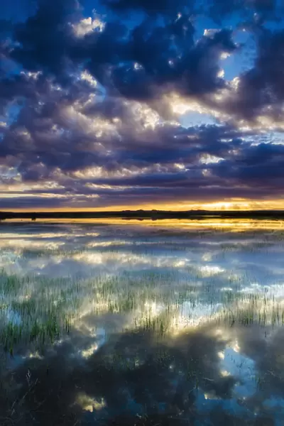 Wetlands at sunrise, Bosque del Apache National Wildlife Refuge, New Mexico USA