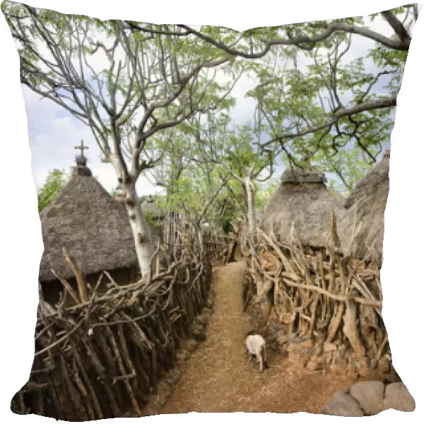 Traditional Konso village on a mountain ridge overlooking the rift valley