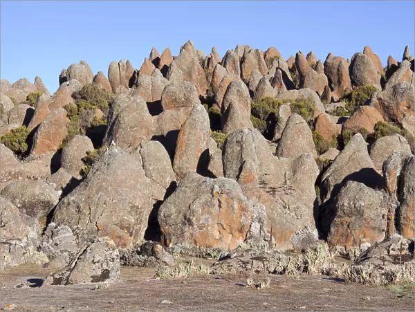 The Rafu Lava Flow with its bizarre rock formations, Sanetti Plateau