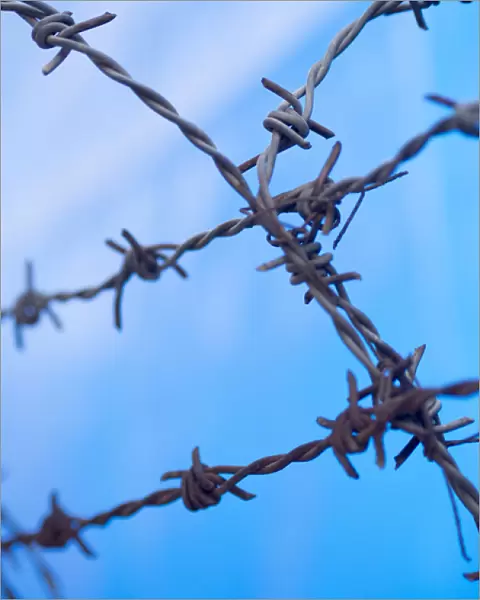 Barbed wire sticks out against the blue sky in Bangalore, Karnataka, India