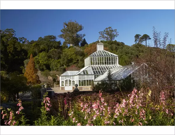 Winter Gardens and Flowers, Botanic Gardens, Dunedin, Otago, South Island, New Zealand
