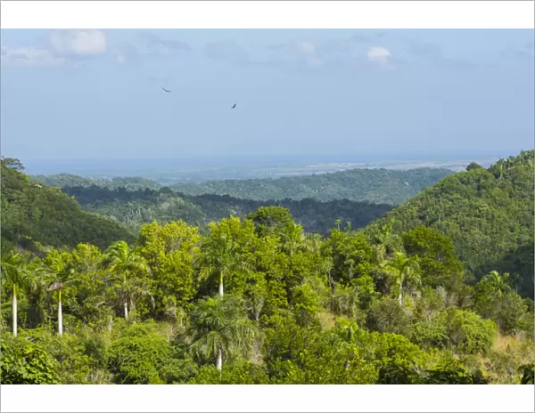 Cuba. Artemisa. Las Terrazas. UNESCO Biosphere Preserve and eco-community in the
