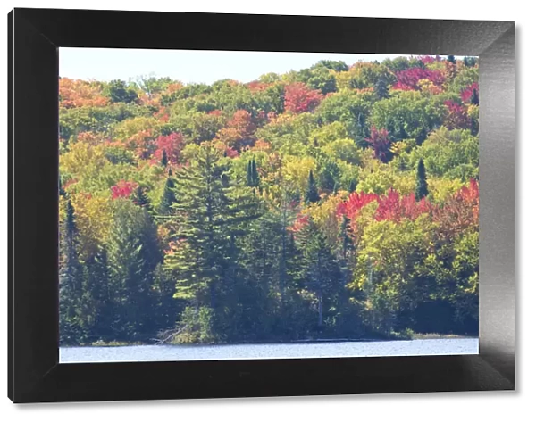 Canada, Quebec, Mount Tremblant National Park. Fall colors along Lake Monroe. Credit as