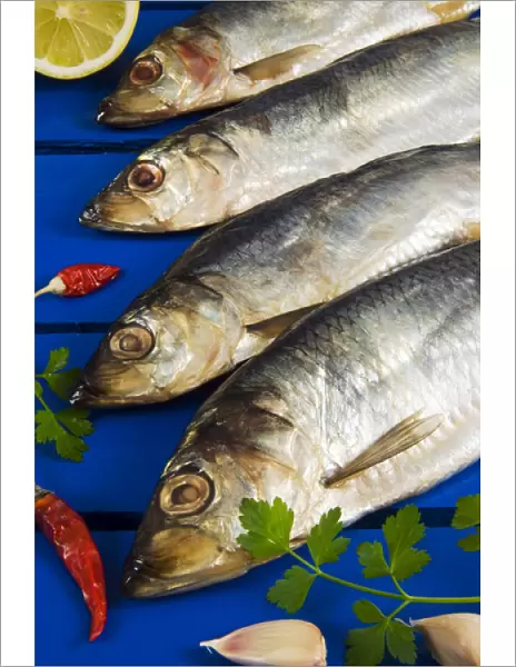 Dried and smoked Atlantic herring (Clupea harengus)