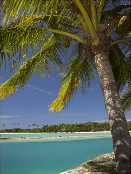 Palm trees and lagoon entrance, Musket Cove Island Resort, Malolo Lailai Island, Mamanuca Islands